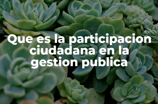 Que es la Participacion Ciudadana en la Gestion Publica