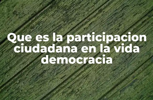 Que es la Participacion Ciudadana en la Vida Democracia