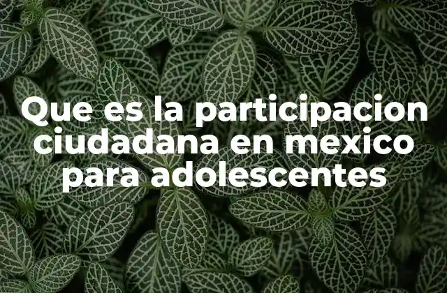 Que es la Participacion Ciudadana en Mexico para Adolescentes