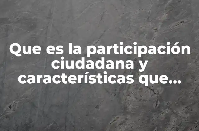 Que es la Participación Ciudadana y Características que Conlleva