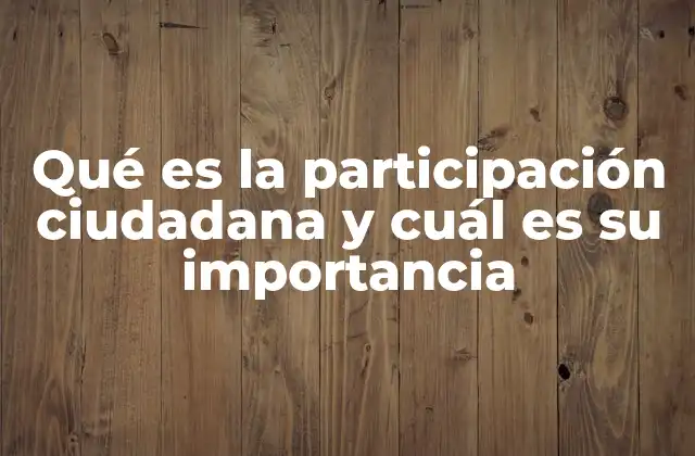Qué es la Participación Ciudadana y Cuál es Su Importancia