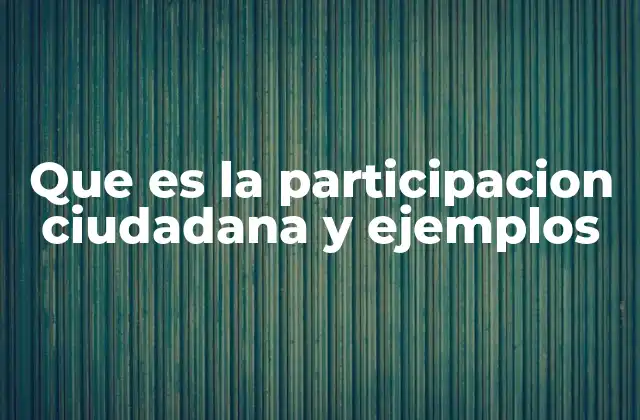 Que es la Participacion Ciudadana y Ejemplos
