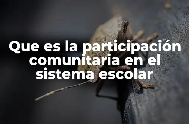 Que es la Participación Comunitaria en el Sistema Escolar