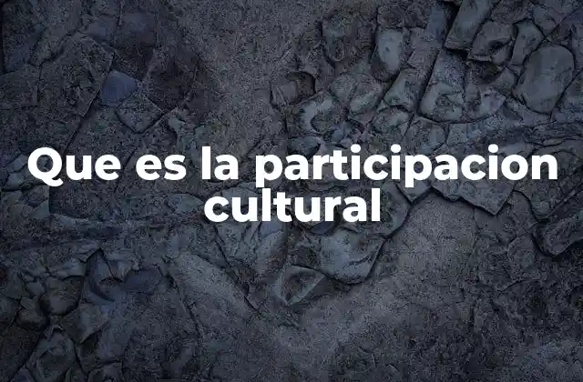 Que es la Participacion Cultural