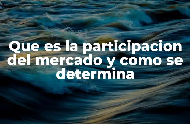 Que es la Participacion Del Mercado y como Se Determina