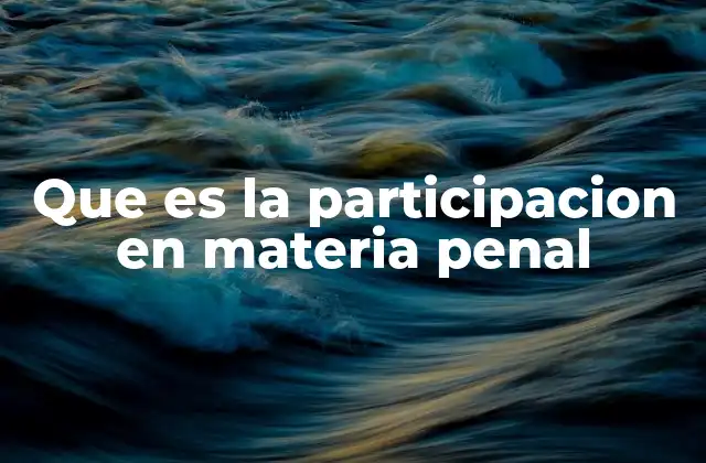 Que es la Participacion en Materia Penal