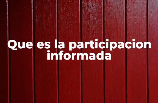 Que es la Participacion Informada