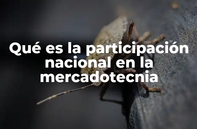 Qué es la Participación Nacional en la Mercadotecnia