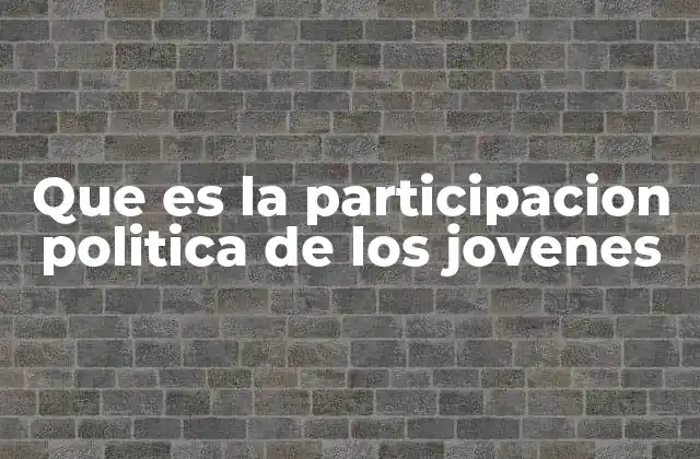 Que es la Participacion Politica de los Jovenes