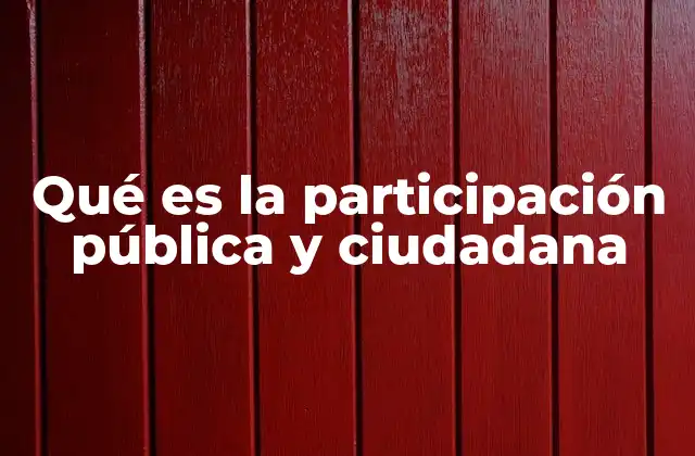 Qué es la Participación Pública y Ciudadana