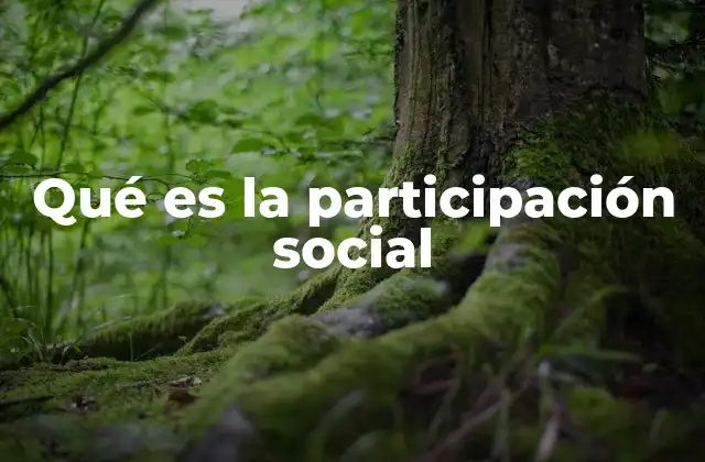Qué es la Participación Social