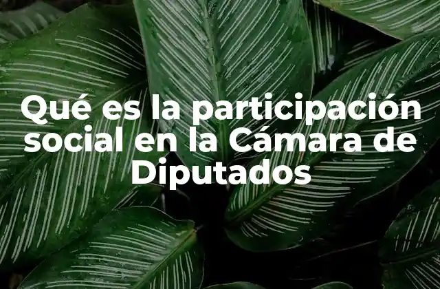 Qué es la Participación Social en la Cámara de Diputados