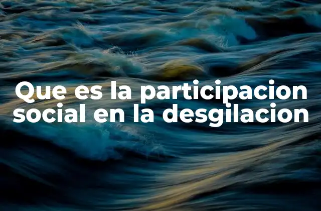 Que es la Participacion Social en la Desgilacion