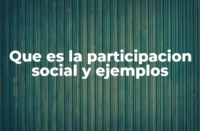 Que es la Participacion Social y Ejemplos