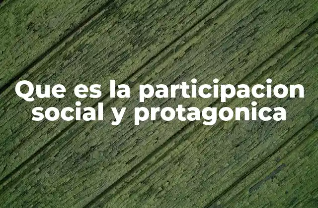 Que es la Participacion Social y Protagonica