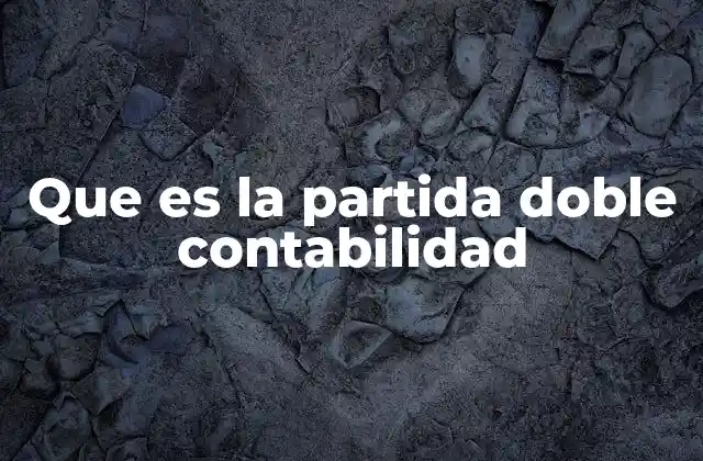 Que es la Partida Doble Contabilidad