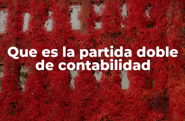 El origen y evolución del sistema de doble entrada