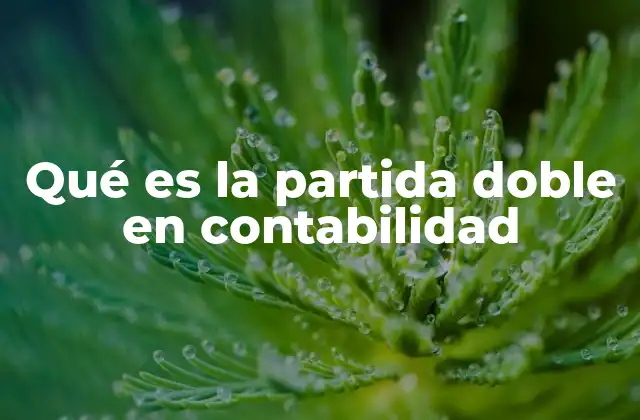 Qué es la Partida Doble en Contabilidad