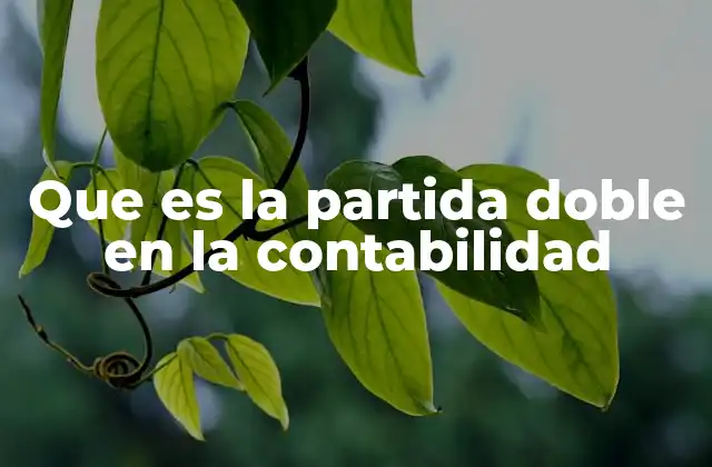 Que es la Partida Doble en la Contabilidad