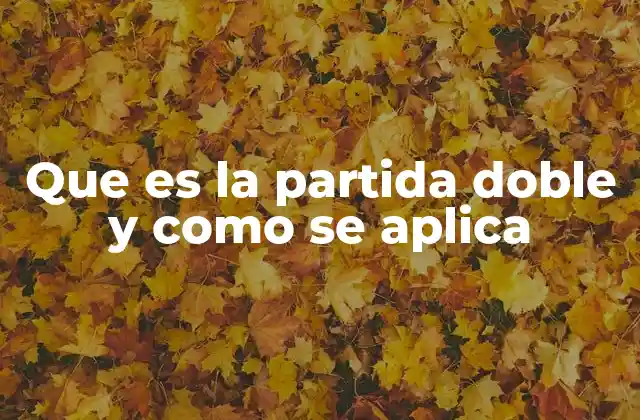 Que es la Partida Doble y como Se Aplica