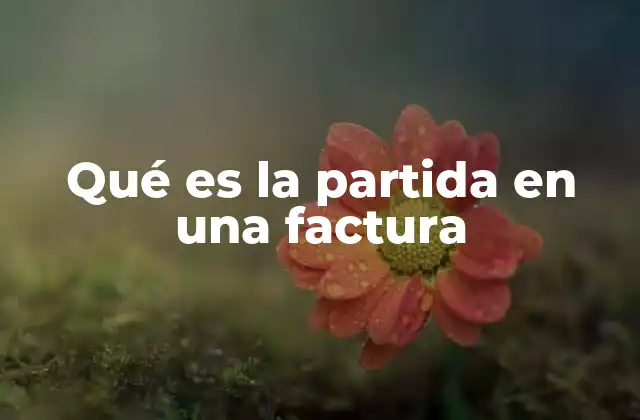 Qué es la Partida en una Factura