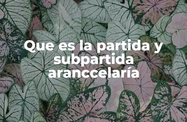 Que es la Partida y Subpartida Aranccelaría 2 El papel del código arancelario en el comercio internacional