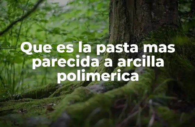 Que es la Pasta mas Parecida a Arcilla Polimerica