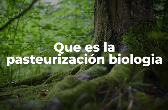 Que es la Pasteurización Biologia 2 La ciencia detrás del proceso térmico