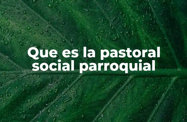 El rol de la parroquia en la acción social