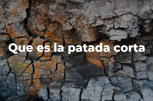 Que es la Patada Corta