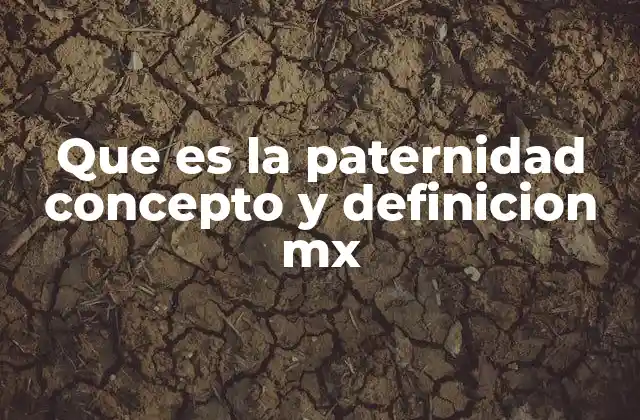 Que es la Paternidad Concepto y Definicion Mx