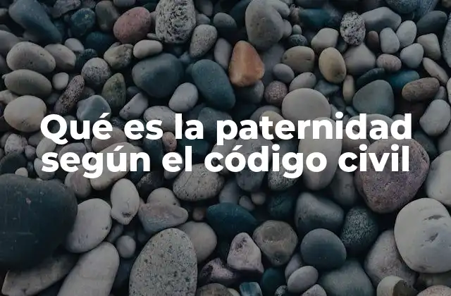 Qué es la Paternidad según el Código Civil
