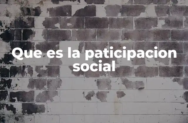 Que es la Paticipacion Social