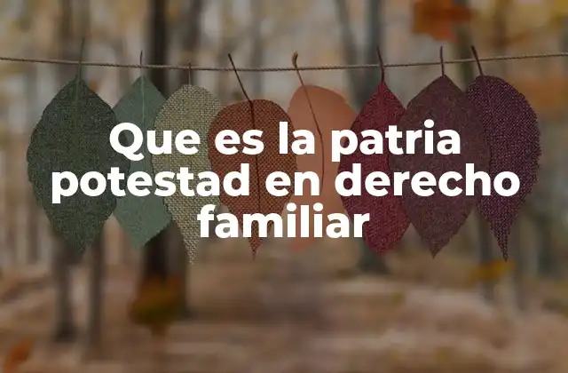 Que es la Patria Potestad en Derecho Familiar