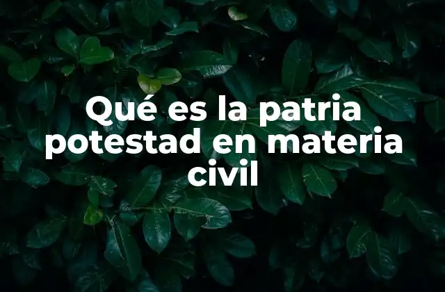 La importancia de la patria potestad en el desarrollo del menor
