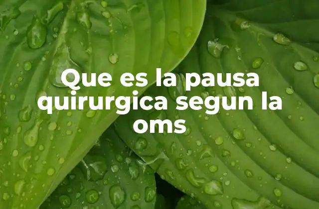 Que es la Pausa Quirurgica Segun la Oms