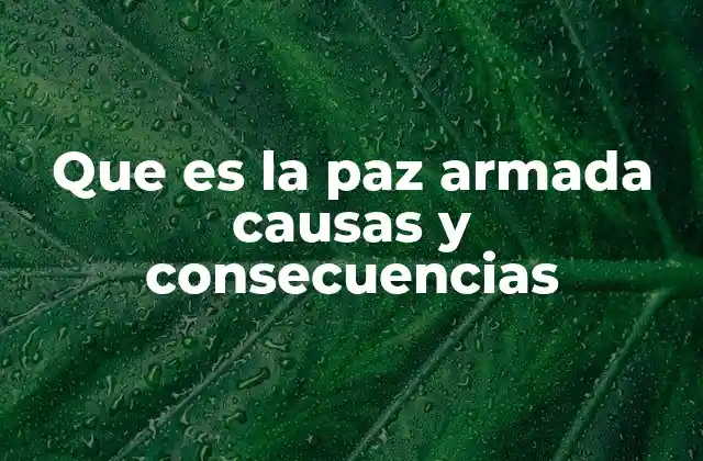 Que es la Paz Armada Causas y Consecuencias