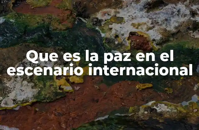 La importancia de la cooperación global en la construcción de la paz