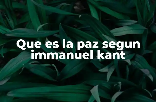 Que es la Paz Segun Immanuel Kant