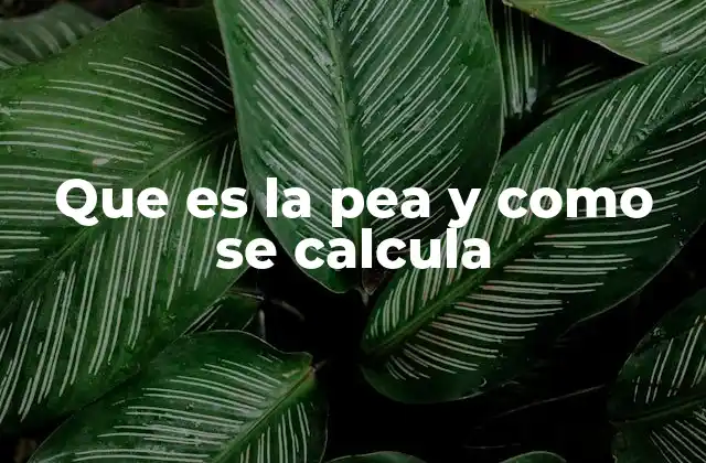 Que es la Pea y como Se Calcula
