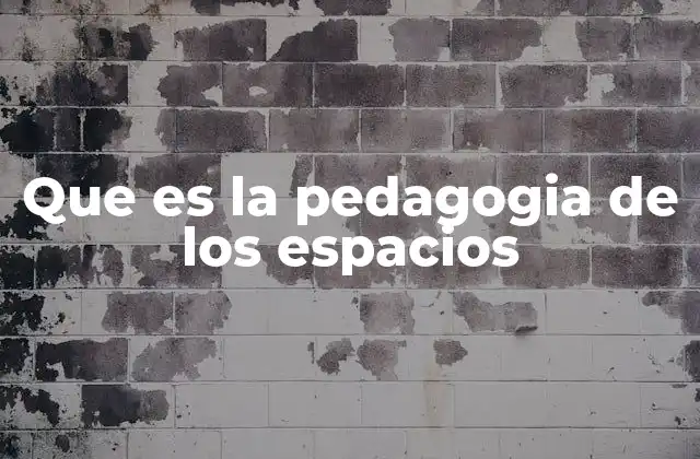 Que es la Pedagogia de los Espacios