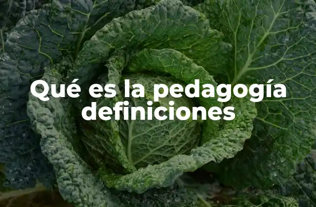 Qué es la Pedagogía Definiciones