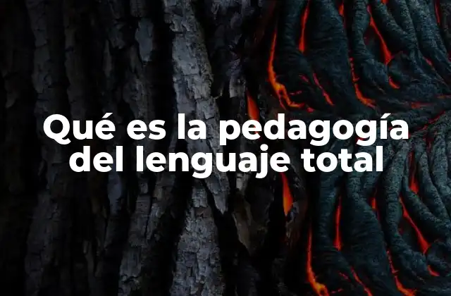 Qué es la Pedagogía Del Lenguaje Total