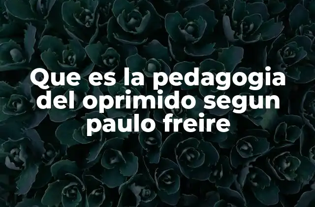 Que es la Pedagogia Del Oprimido Segun Paulo Freire