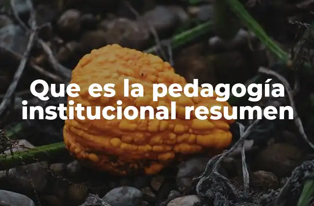 Que es la Pedagogía Institucional Resumen