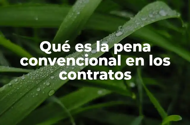 Qué es la Pena Convencional en los Contratos