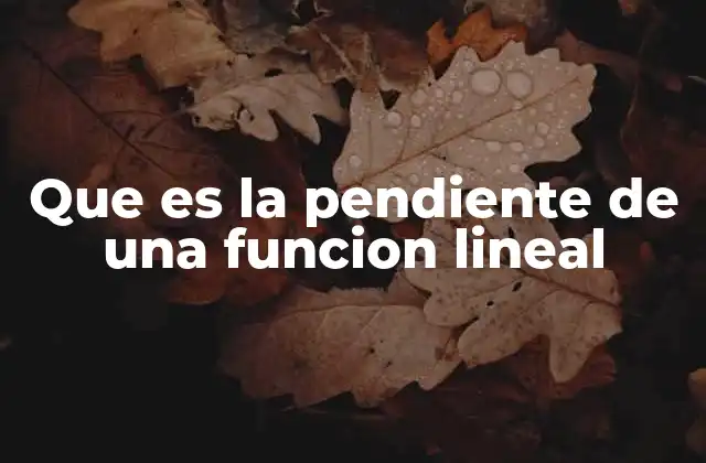 Que es la Pendiente de una Funcion Lineal 2 Cómo se interpreta la pendiente en una recta
