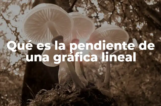 Qué es la Pendiente de una Gráfica Lineal