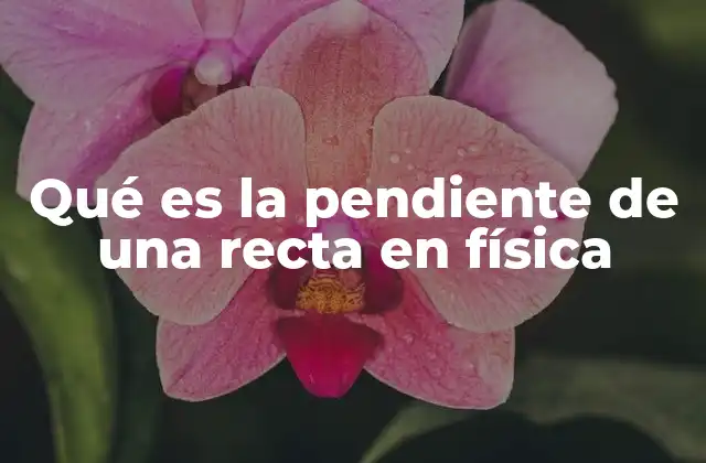 El papel de la pendiente en el análisis gráfico de fenómenos físicos