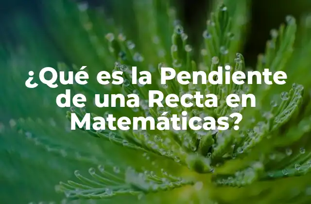 ¿qué es la Pendiente de una Recta en Matemáticas?